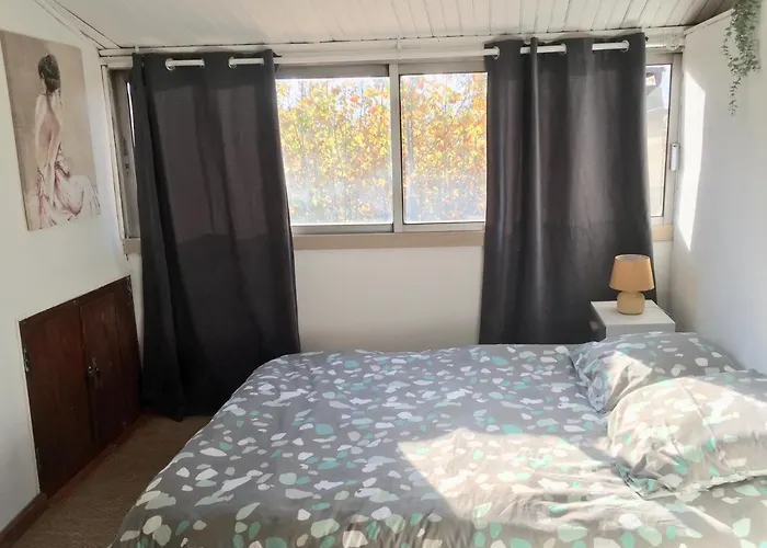 Appartement Emil Centre Ville